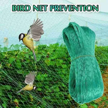 Green Anti-bird Net Garden Orchard Polyethylene Extruded Reusable Birdnet Protection Fruit Vegetable Against Birds Samll Animal
Green Anti-bird Net Garden Orchard Polyethylene Extruded Reusable Birdnet Protection Fruit Vegetable Against Birds Samll Animal