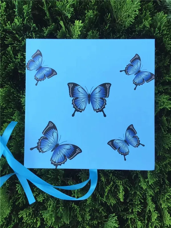 Laser Eyelashes Packaging Box Empty Eyelash Package Boxes Case 25mm Butterfly Ribbon Lashes Rectangle Box
Laser Eyelashes Packaging Box Empty Eyelash Package Boxes Case 25mm Butterfly Ribbon Lashes Rectangle Box
