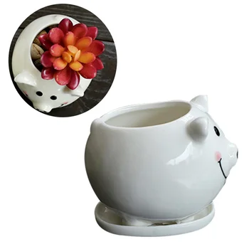 1pc Flowerpot Lovely Ceramic Cartoon Pig Plant Succulent Bryophytes Pot Basin for Balcony Desktop Bar Hotel 
1pc Flowerpot Lovely Ceramic Cartoon Pig Plant Succulent Bryophytes Pot Basin for Balcony Desktop Bar Hotel