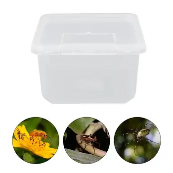Reptile Breeding Box Mini Insect Carrier Spider Feeding Boxes Insect Cage Tank Reptile Breeding Box For Pet Spider Larvae
Reptile Breeding Box Mini Insect Carrier Spider Feeding Boxes Insect Cage Tank Reptile Breeding Box For Pet Spider Larvae