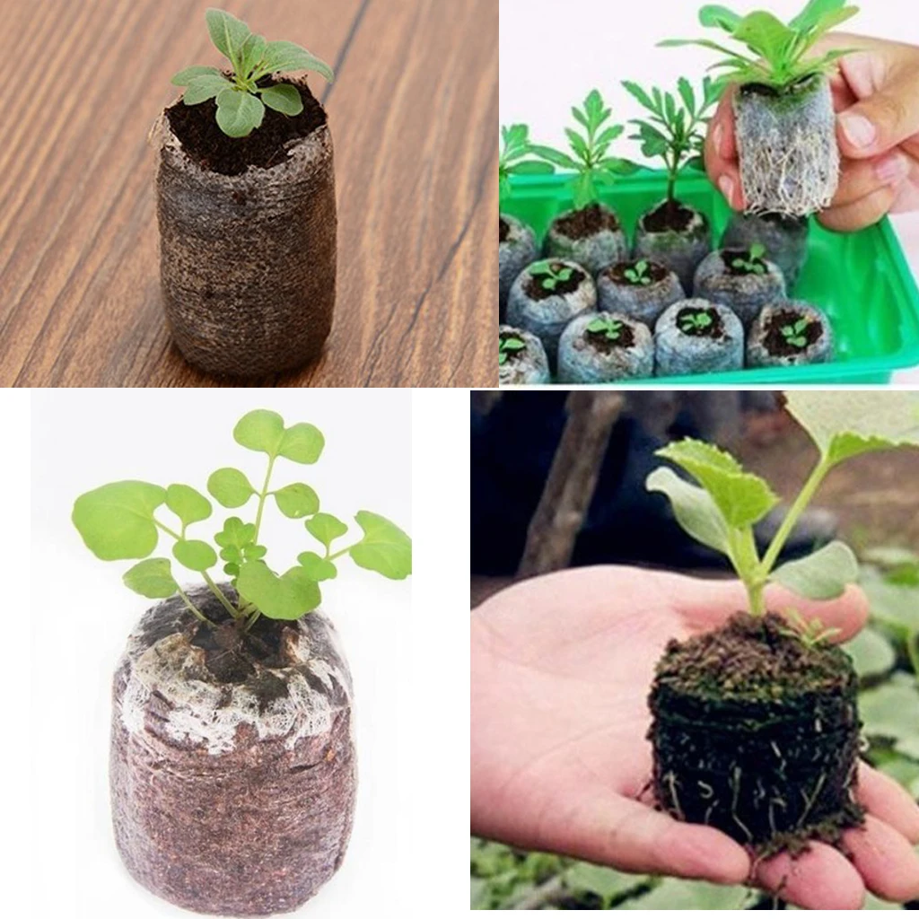 10Pcs 30 mm Garden Flowers Planting Soil Block Round Peat Pellets Seed Starting Plugs Pallet Seedling Soil Block Nursery Soil 10Pcs 30 mm Garden Flowers Planting Soil Block Round Peat Pellets Seed Starting Plugs Pallet Seedling Soil Block Nursery Soil