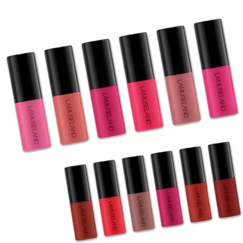 Lamuseland 12 Pcs/Lot Travel Kit Long-Lasting Waterproof Lipstick Matte Lip Gloss Demo Set 12 Colors Lips Makeup
Lamuseland 12 Pcs/Lot Travel Kit Long-Lasting Waterproof Lipstick Matte Lip Gloss Demo Set 12 Colors Lips Makeup