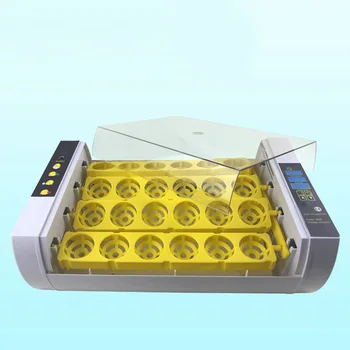 1pc Egg Incubator Durable Practical Creative Automatic Egg Incubator Chicken Hatchery Eggs Poultry Hatcher for Farmer
1pc Egg Incubator Durable Practical Creative Automatic Egg Incubator Chicken Hatchery Eggs Poultry Hatcher for Farmer