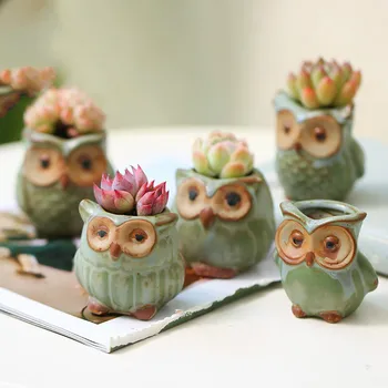 5pcs/lot Creative Ceramic Owl Shape Flower Pots for Fleshy Succulent Plant Animal Style Planter Home Garden Decoration MJ916
5pcs/lot Creative Ceramic Owl Shape Flower Pots for Fleshy Succulent Plant Animal Style Planter Home Garden Decoration MJ916