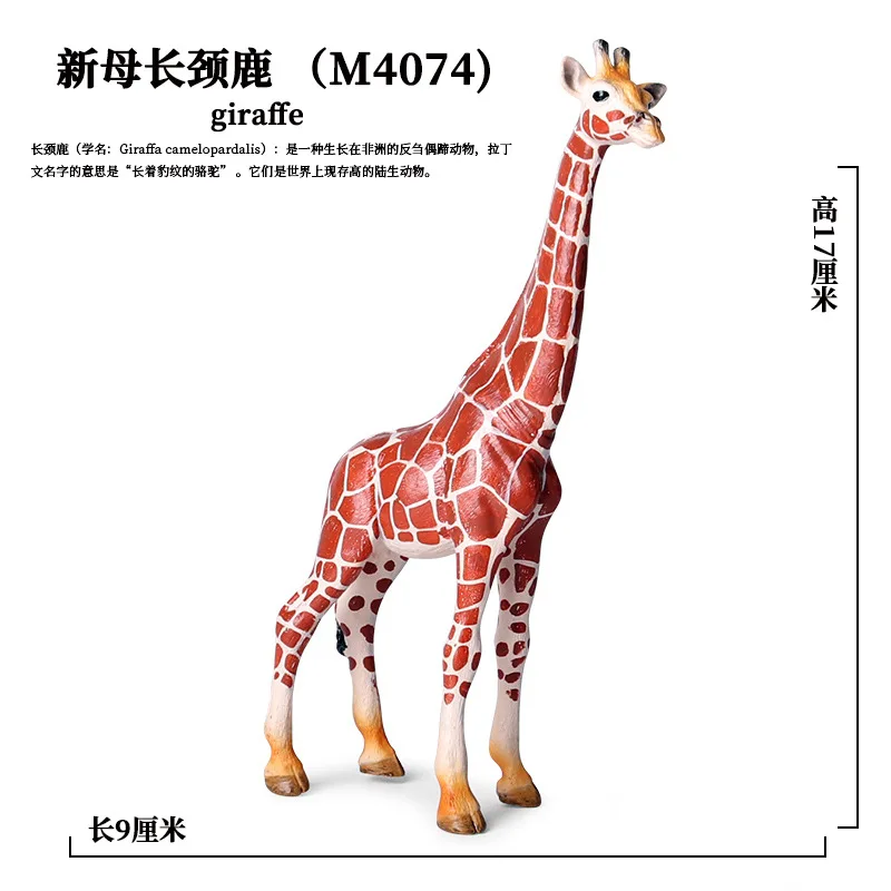 Model Static Solid Wild Animal Model Giraffe Children Plastic Toys Decorations And Ornaments Set
Model Static Solid Wild Animal Model Giraffe Children Plastic Toys Decorations And Ornaments Set