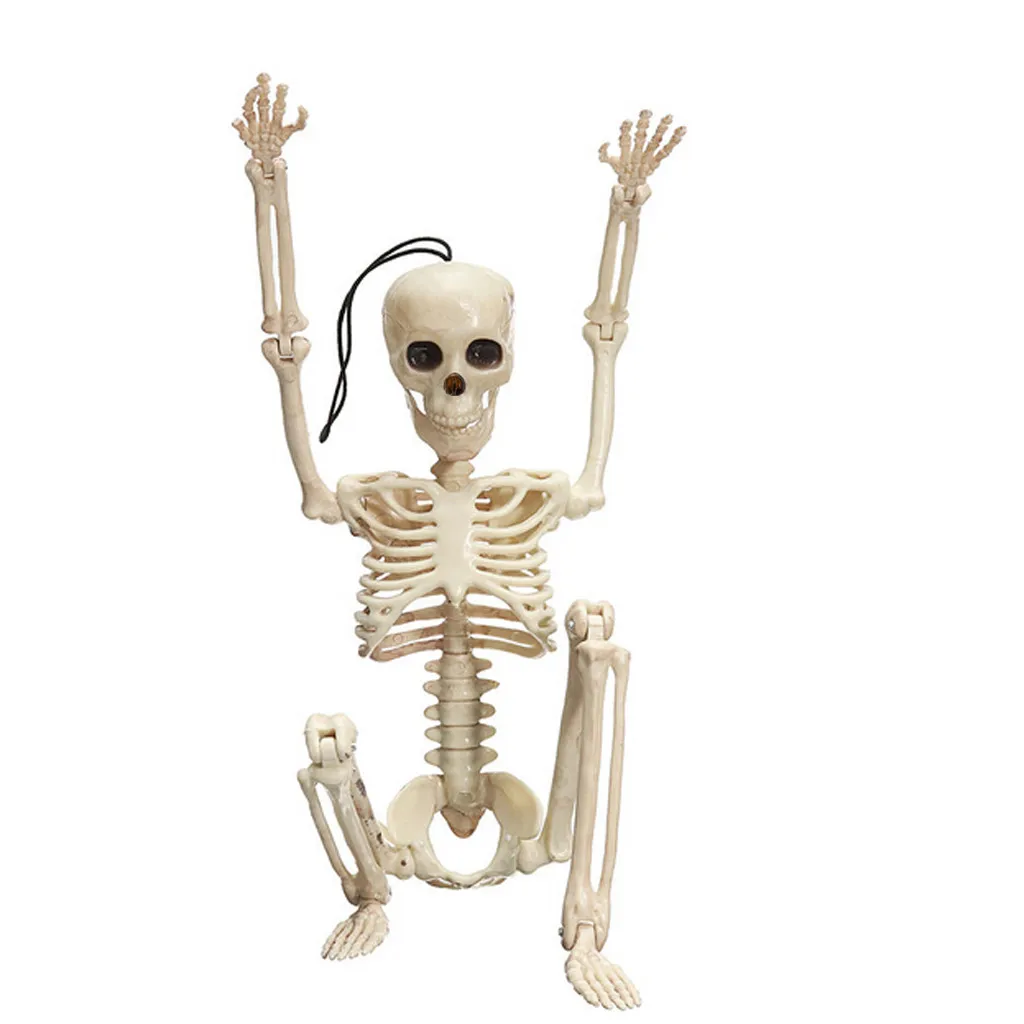 toys creepy human ossature skull figurine scary funny toy