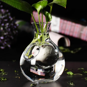 Glass wine bottle hole curling hamster nest cooling room beer cabinet mini gift wine water bottle advanced water device CY53001
Glass wine bottle hole curling hamster nest cooling room beer cabinet mini gift wine water bottle advanced water device CY53001