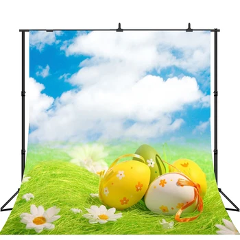 Lyavshi Spring Easter Eggs Floret Grassland clouds Photography Backgrounds Photographic Backdrops For Photo Studio
Lyavshi Spring Easter Eggs Floret Grassland clouds Photography Backgrounds Photographic Backdrops For Photo Studio