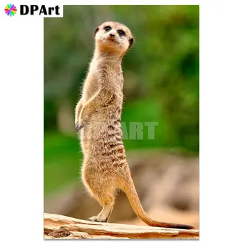 Diamond Painting 5D Full Square/Round Meerkat Aniaml Diamond Embroidery Rhinestone Cross Stitch Crystal Mosaic Picture Art A257
Diamond Painting 5D Full Square/Round Meerkat Aniaml Diamond Embroidery Rhinestone Cross Stitch Crystal Mosaic Picture Art A257
