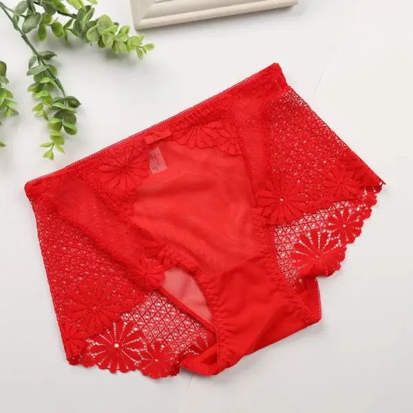 Womens High Waist Lace Panties Sexy Lingerie Female Seamless Floral Panties Sexy Underwear
Womens High Waist Lace Panties Sexy Lingerie Female Seamless Floral Panties Sexy Underwear