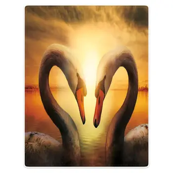 HommomH 60 x80 inch blanket polyester material anti-pilling comfortable warm soft sofa portable swan pattern
HommomH 60 x80 inch blanket polyester material anti-pilling comfortable warm soft sofa portable swan pattern