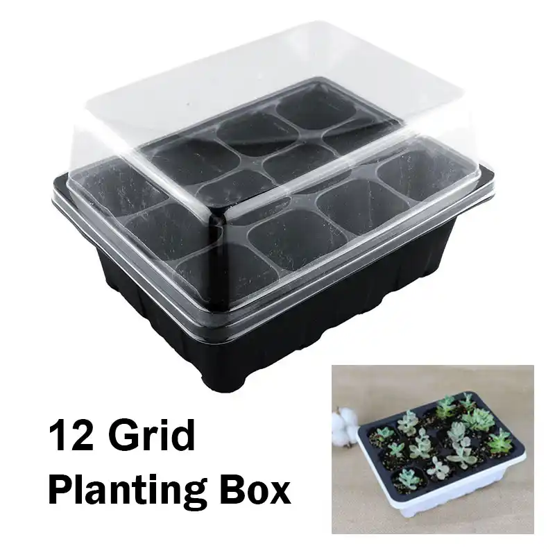tray plant,robertplant box lightbox seeds case* grow plant hole plants insert tray case