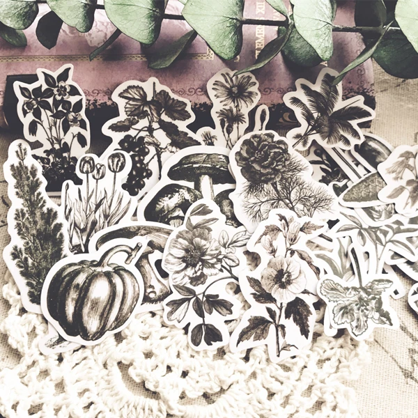 24pcs Black and white vintage plants, algae, mushrooms, flowers, pine cones, peppers, beans of Decoration stickers
24pcs Black and white vintage plants, algae, mushrooms, flowers, pine cones, peppers, beans of Decoration stickers