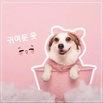 Cute Dog Hoodie Pet Dog Clothes For Dogs Coat Jacket Cotton Ropa Perro French Bulldog Clothing For Dogs Pets Clothing Pug
Cute Dog Hoodie Pet Dog Clothes For Dogs Coat Jacket Cotton Ropa Perro French Bulldog Clothing For Dogs Pets Clothing Pug