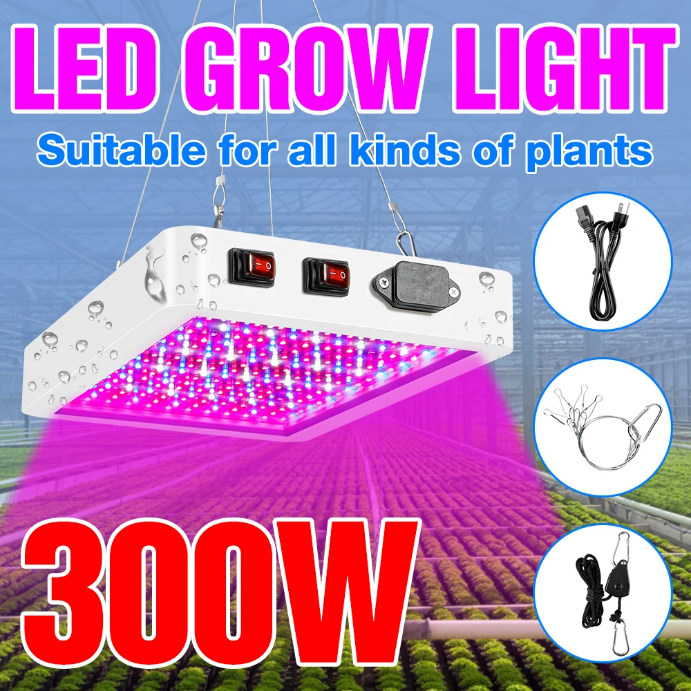 300W 500W Greenhouse Plant Grow Lamp LED Full Spectrum Phyto Light 220V Seedling Fito Lamp LED Vegetables Growing Tent Lampada
300W 500W Greenhouse Plant Grow Lamp LED Full Spectrum Phyto Light 220V Seedling Fito Lamp LED Vegetables Growing Tent Lampada