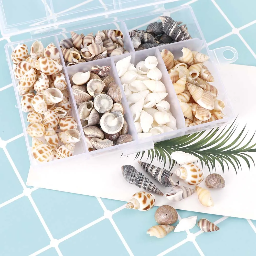 About 100Pcs/Box Natural Conch Shells Mini Conch Corn Screw Wall Decoration DIY Aquarium Landscape Seashells Crafts/party Decor
About 100Pcs/Box Natural Conch Shells Mini Conch Corn Screw Wall Decoration DIY Aquarium Landscape Seashells Crafts/party Decor