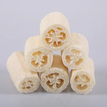 NATURE 6 Pack of Organic Loofahs Loofah Spa Exfoliating Scrubber natural Luffa Body Wash Sponge Remove Dead Skin Made Soap
NATURE 6 Pack of Organic Loofahs Loofah Spa Exfoliating Scrubber natural Luffa Body Wash Sponge Remove Dead Skin Made Soap