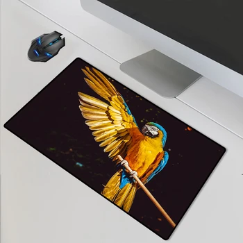 Yuzuoan Computer Programming Large Game Mouse Pad Parrot Anti-skidding Rubber Laptop Protection Pad Black Lock-edge Table Mat
Yuzuoan Computer Programming Large Game Mouse Pad Parrot Anti-skidding Rubber Laptop Protection Pad Black Lock-edge Table Mat