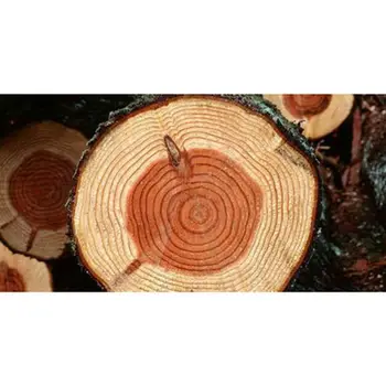 Coffee Cup Pure Jujube As Wood Tea Cup With Handgrip Milk Travel Wine Beer Cups For Home Bar Kitchen Gadgets
Coffee Cup Pure Jujube As Wood Tea Cup With Handgrip Milk Travel Wine Beer Cups For Home Bar Kitchen Gadgets