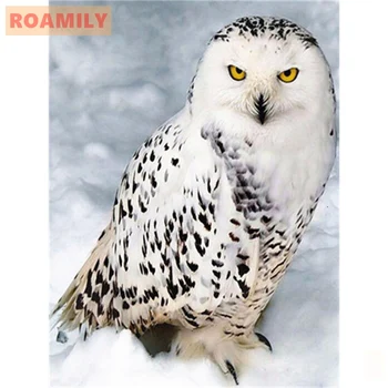 New Style Full Round/Square Diamond Painting,Owl,Diamond Embroidery Owls,Picture Beading,Wall Art,Diamont
New Style Full Round/Square Diamond Painting,Owl,Diamond Embroidery Owls,Picture Beading,Wall Art,Diamont