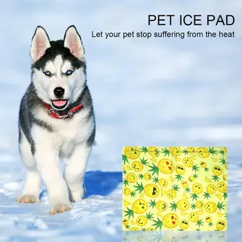 Dog Cooling Mat Pet Ice Pad Teddy Mattress Pet Cool Mat Bed Cat Cushion Summer Keep Cool Pet Gel Cooling Dog Mat For Dogs
Dog Cooling Mat Pet Ice Pad Teddy Mattress Pet Cool Mat Bed Cat Cushion Summer Keep Cool Pet Gel Cooling Dog Mat For Dogs