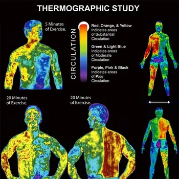 Abdominal Muscle Ointment Fitness Shaping Cream Men Care Ointment Exercise P1C5
Abdominal Muscle Ointment Fitness Shaping Cream Men Care Ointment Exercise P1C5