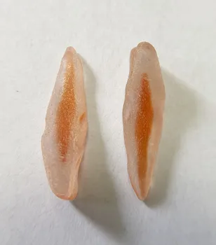 3D Simulation Tooth Replicas Lower Incisor B# Model Red Pulp Root Canal Bending Endo Files Practise for Student 2 Pieces
3D Simulation Tooth Replicas Lower Incisor B# Model Red Pulp Root Canal Bending Endo Files Practise for Student 2 Pieces