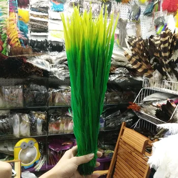 100 Pcs Green and Yellow Double Color Pheasants Feathers 16-18inch/40-45cm Stage Performances Decoration Clothing Accessories
100 Pcs Green and Yellow Double Color Pheasants Feathers 16-18inch/40-45cm Stage Performances Decoration Clothing Accessories