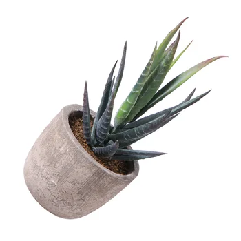 1PC Vintage Simulation Succulent Artificial Plant Bonsai Desktop Decoration Fake Potted Plant for Home Office Garden (Dark Green
1PC Vintage Simulation Succulent Artificial Plant Bonsai Desktop Decoration Fake Potted Plant for Home Office Garden (Dark Green