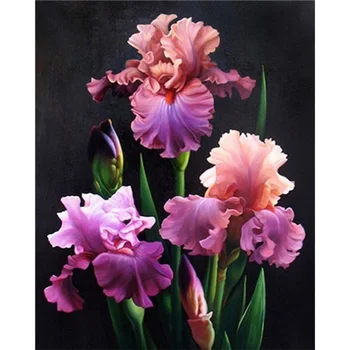 Painting By Numbers Canvas Painting Flower Oil Colouring Paints By Numbers Canvas Painting Home Decor 40x50cm 40*50cm Full Kits
Painting By Numbers Canvas Painting Flower Oil Colouring Paints By Numbers Canvas Painting Home Decor 40x50cm 40*50cm Full Kits