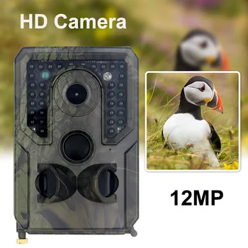 Outdoor IP54 Waterproof Infrared Night Vision Motion Detection Fast Trigger Tracking Trail Camera 12MP1080P Portable HD Video
Outdoor IP54 Waterproof Infrared Night Vision Motion Detection Fast Trigger Tracking Trail Camera 12MP1080P Portable HD Video