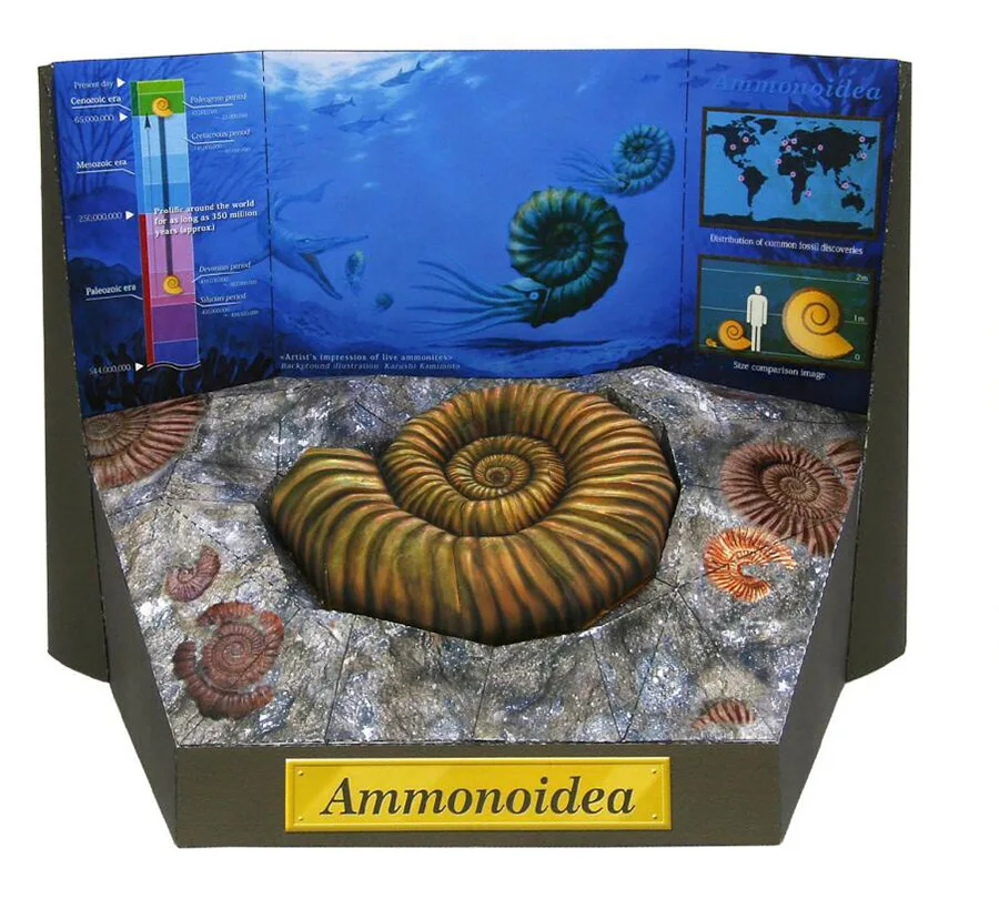 Ammonoids Paper Model Students Hand-made DIY Paper Cutting Fossil Specimen Natural China Science Publishing & Media Ltd.(cspm) A
Ammonoids Paper Model Students Hand-made DIY Paper Cutting Fossil Specimen Natural China Science Publishing & Media Ltd.(cspm) A