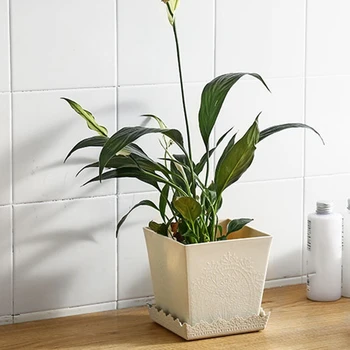 Square Fleshy Flower Pot Green Plant Office Trumpet Bonsai Carved Creative Home
Square Fleshy Flower Pot Green Plant Office Trumpet Bonsai Carved Creative Home