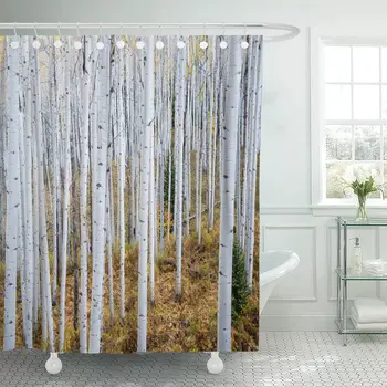 Colorful Abstract Grove of Aspen Trees in The Rocky Mountains Shower Curtain Colorado Green Autumn 72"x84" Extra Long Decor
Colorful Abstract Grove of Aspen Trees in The Rocky Mountains Shower Curtain Colorado Green Autumn 72"x84" Extra Long Decor