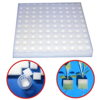 1pc Soilless Hydroponic Vegetables Nursery Pots Nursery Sponge Flower Seed Cultivation Soilless Cultivation System Seed Trays
1pc Soilless Hydroponic Vegetables Nursery Pots Nursery Sponge Flower Seed Cultivation Soilless Cultivation System Seed Trays