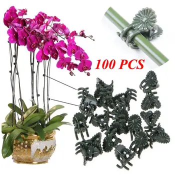 100Pcs/Bag Plant Support Clips Garden Clips Flower Orchid Stem Clips for Vine Support
100Pcs/Bag Plant Support Clips Garden Clips Flower Orchid Stem Clips for Vine Support