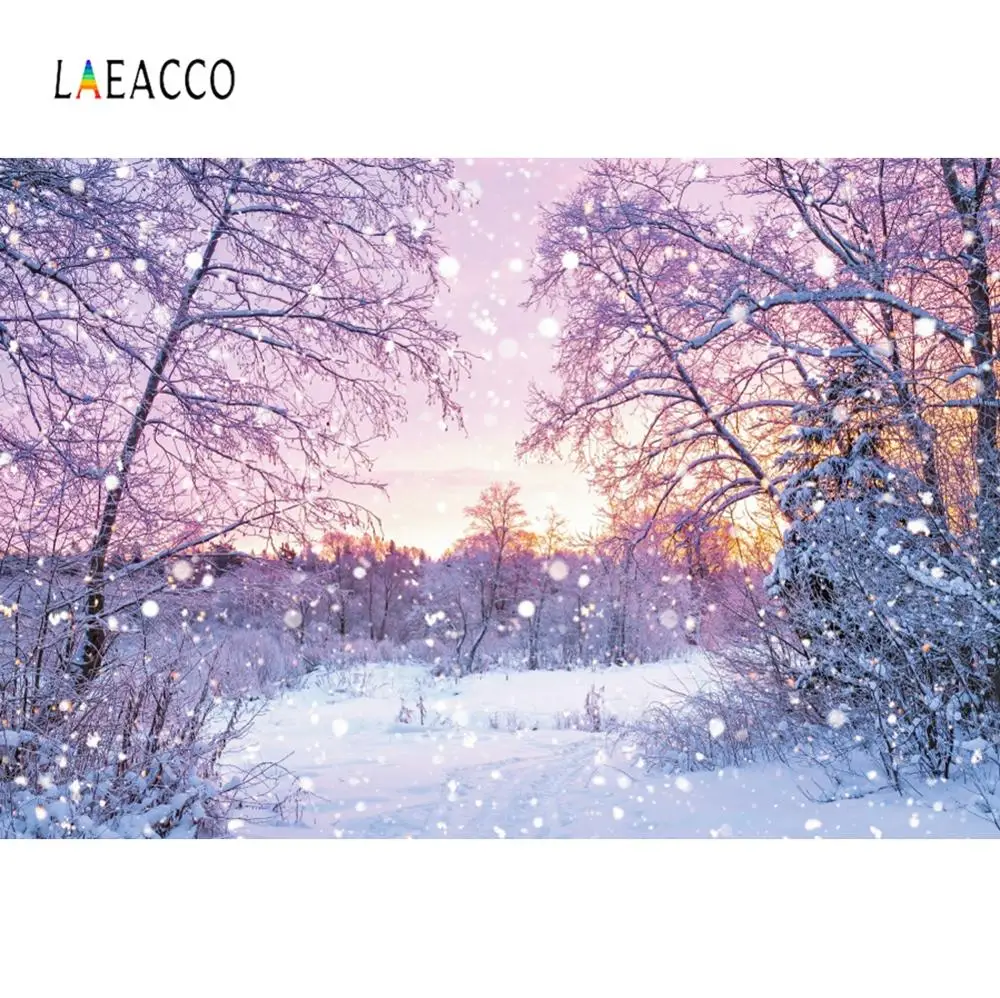 Laeacco Winter Forest Backgrounds For Photography Snow Snowflake Dots Tree Natural Scenic Photography Backdrop For Photo Studio
Laeacco Winter Forest Backgrounds For Photography Snow Snowflake Dots Tree Natural Scenic Photography Backdrop For Photo Studio