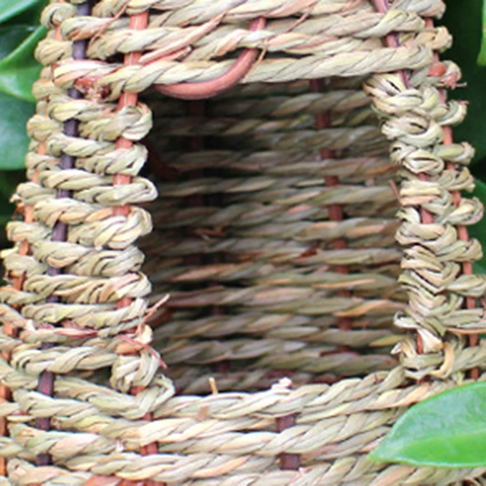 3Pcs Hand Woven Grass Hummingbird Houses Nest Small Hanging Birdhouse Hummingbird House For Garden Office Home Decor
3Pcs Hand Woven Grass Hummingbird Houses Nest Small Hanging Birdhouse Hummingbird House For Garden Office Home Decor