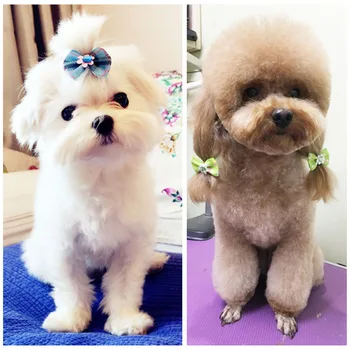 100Pcs Mixed Color Puppy Dog Hair Bows Hair Accessorries Bowties for Dogs Dog Grooming Bows Decorative Hairpin FP8
100Pcs Mixed Color Puppy Dog Hair Bows Hair Accessorries Bowties for Dogs Dog Grooming Bows Decorative Hairpin FP8