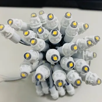 Led String 9mm DC12V Single Color Pixel LED Module Light IP68 Waterproof LED Pixel Light String Wholesale
Led String 9mm DC12V Single Color Pixel LED Module Light IP68 Waterproof LED Pixel Light String Wholesale