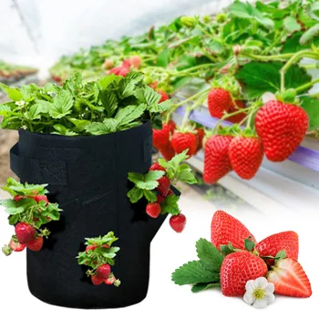 Garden Pot Strawberry Plant seeding Grow Bags Vegetable Flower Pot Planter DIY Potato Garden Pot Plant Growing bag tools
Garden Pot Strawberry Plant seeding Grow Bags Vegetable Flower Pot Planter DIY Potato Garden Pot Plant Growing bag tools