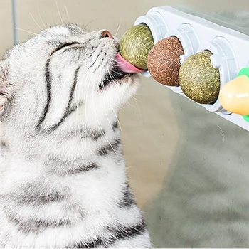 4pcs/Set Pet Catnip Toys Edible Catnip Treat Balls Pet Catnip Toys Cat Mint Cats Home Chasing Game Toy Clean Teeth Stomach
4pcs/Set Pet Catnip Toys Edible Catnip Treat Balls Pet Catnip Toys Cat Mint Cats Home Chasing Game Toy Clean Teeth Stomach