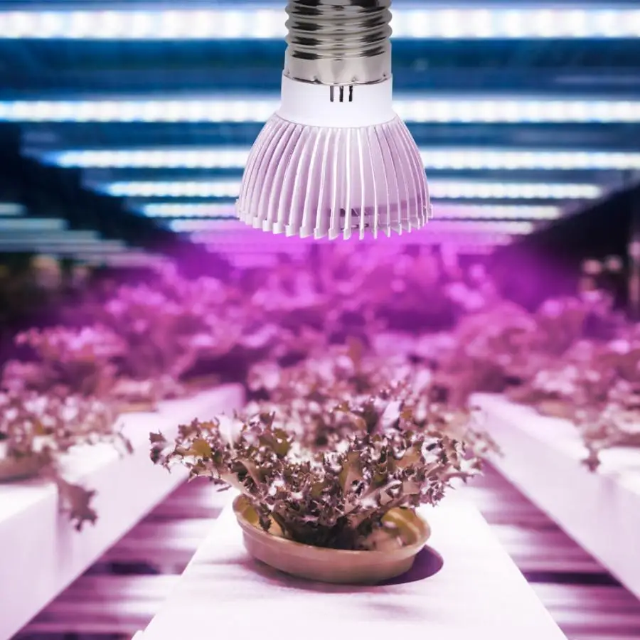 AC 85-265V 4W E27 LED Growing Lamp Bulb Full Spectrum For Indoor Shed Plants Greenhouse Folwer Growing
AC 85-265V 4W E27 LED Growing Lamp Bulb Full Spectrum For Indoor Shed Plants Greenhouse Folwer Growing