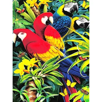 Parrot Butterfly Full Round Stones Animal Diamond Painting Diamond Embroidery Diamond Cross Stitch Daimond Gift
Parrot Butterfly Full Round Stones Animal Diamond Painting Diamond Embroidery Diamond Cross Stitch Daimond Gift