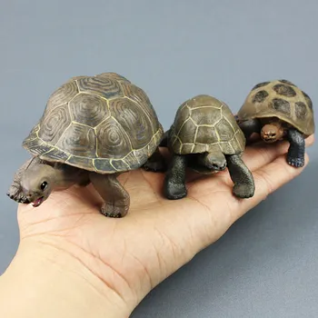 Marine Geochelone Tortoise Ocean Education Animal Figure Model Kids Children Toy Gift DNJ998
Marine Geochelone Tortoise Ocean Education Animal Figure Model Kids Children Toy Gift DNJ998