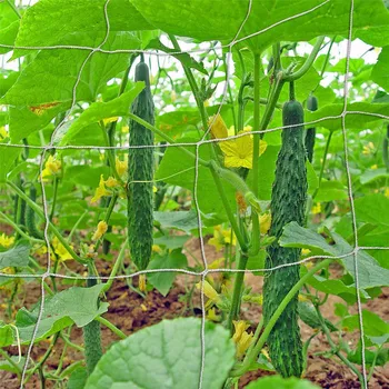 Garden Plants Climbing Net Polyester Rattan Net Cucumber Vine Flower Netting Support Net Grow Holder Garden Trellis Netting
Garden Plants Climbing Net Polyester Rattan Net Cucumber Vine Flower Netting Support Net Grow Holder Garden Trellis Netting