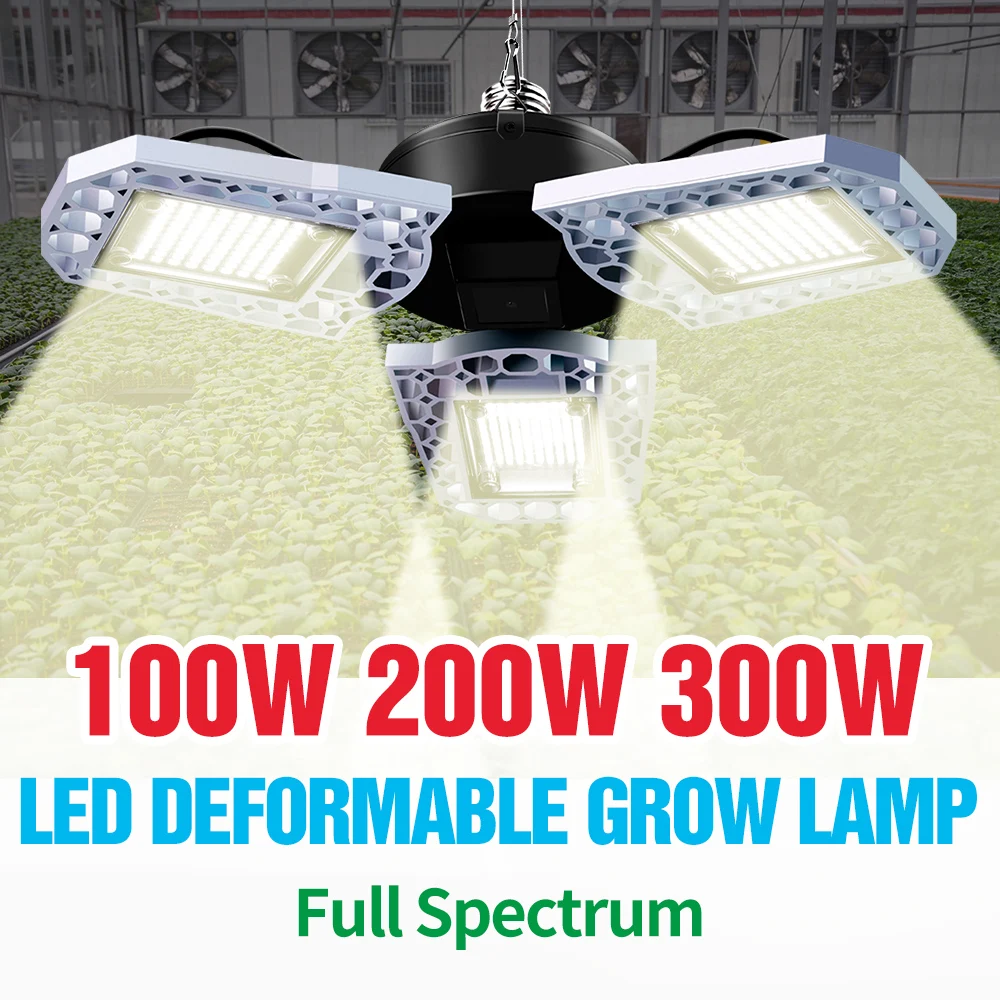 Indoor E27 Plant Light LED Phyto Grow Tent 100W 200W 300W Full Spectrum Growing Light For Flower Hydroponics Seed LED Fitolampy
Indoor E27 Plant Light LED Phyto Grow Tent 100W 200W 300W Full Spectrum Growing Light For Flower Hydroponics Seed LED Fitolampy
