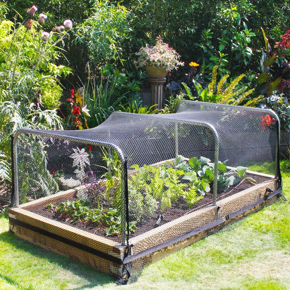 Anti Bird Catcher Netting Pond Net Fishing Net Traps Crops Fruit Tree Vegetables Flower Garden Mesh Protect Pest Control 30x5M
Anti Bird Catcher Netting Pond Net Fishing Net Traps Crops Fruit Tree Vegetables Flower Garden Mesh Protect Pest Control 30x5M