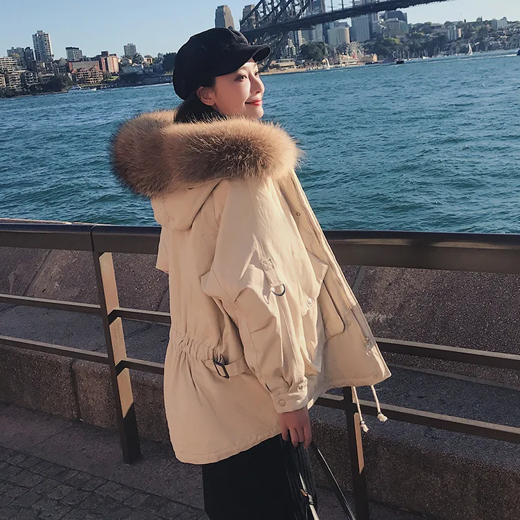 Photo Shoot Online Celebrity Workwear Cotton-padded Clothes Women's Korean-style 2019 Winter New Style Cotton-padded Jacket Fash
Photo Shoot Online Celebrity Workwear Cotton-padded Clothes Women's Korean-style 2019 Winter New Style Cotton-padded Jacket Fash