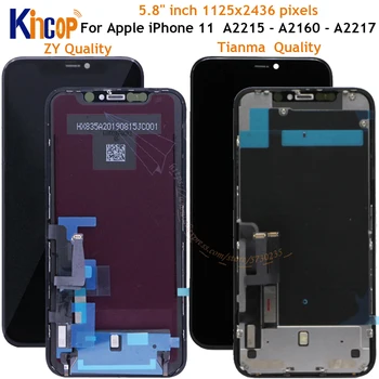 For iPhone 11 LCD Display ZY OLED Touch Screen Digitizer Assembly Replacement For iPhone 11 A2221 A2111 A2223 LCD tianma Display
For iPhone 11 LCD Display ZY OLED Touch Screen Digitizer Assembly Replacement For iPhone 11 A2221 A2111 A2223 LCD tianma Display